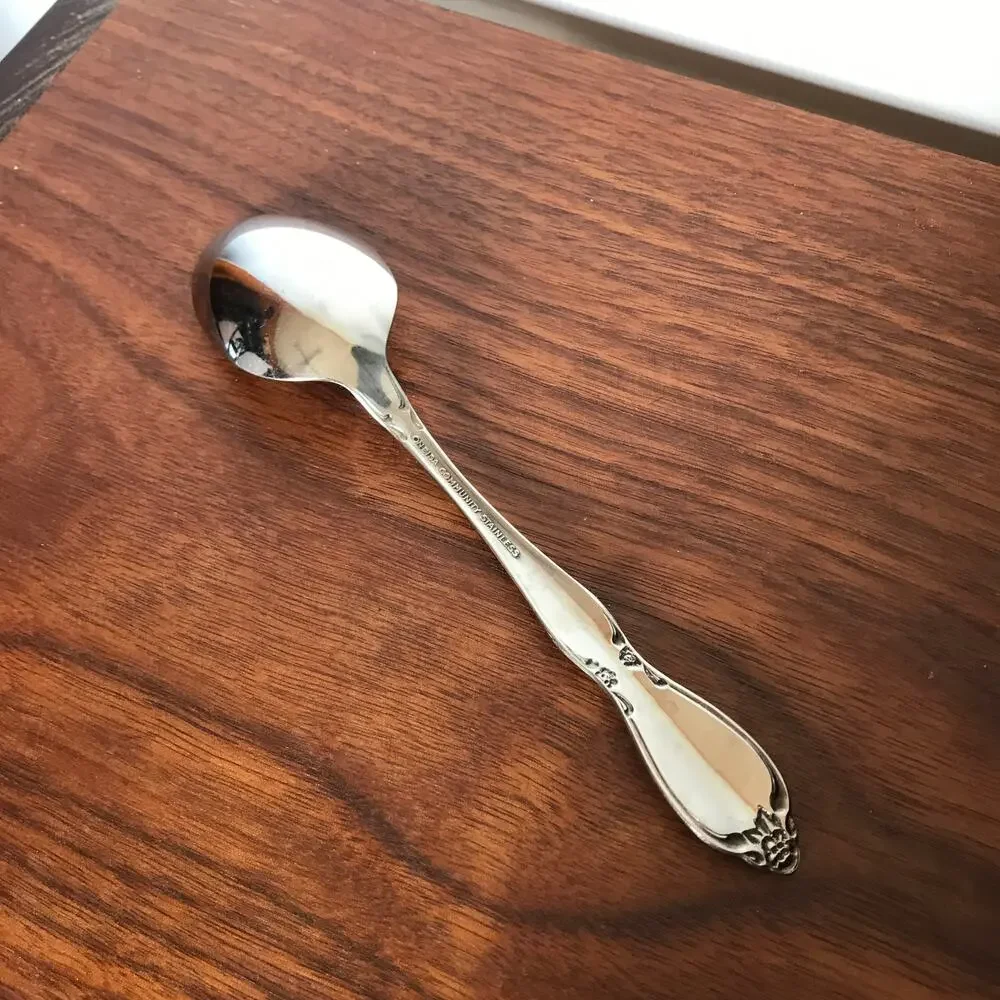 Oneida Community CHATELAINE Stainless Betty Crocker Glossy Flatware SPOON